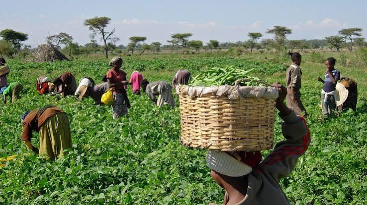 AGRICULTURE IS THE KEY TO OUR FOOD AND ECONOMIC INDEPENDENCE